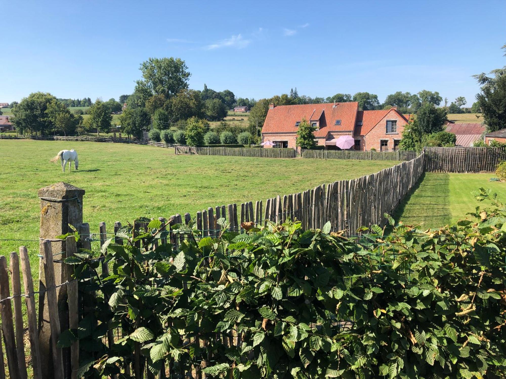 Au Coeur Des Collines, Gloriette Villa Ellezelles Kültér fotó