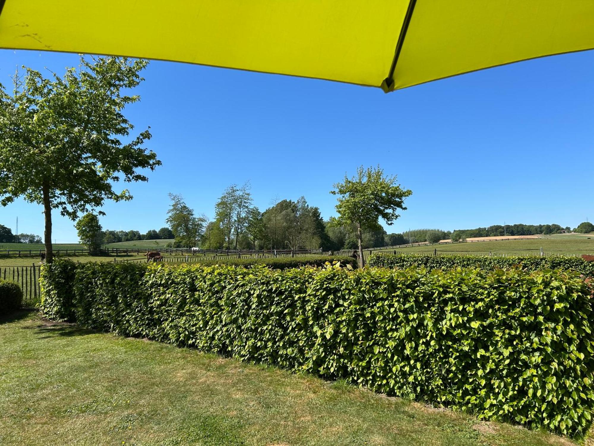 Au Coeur Des Collines, Gloriette Villa Ellezelles Kültér fotó